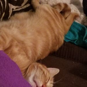 Meet your Posher, Terilyn